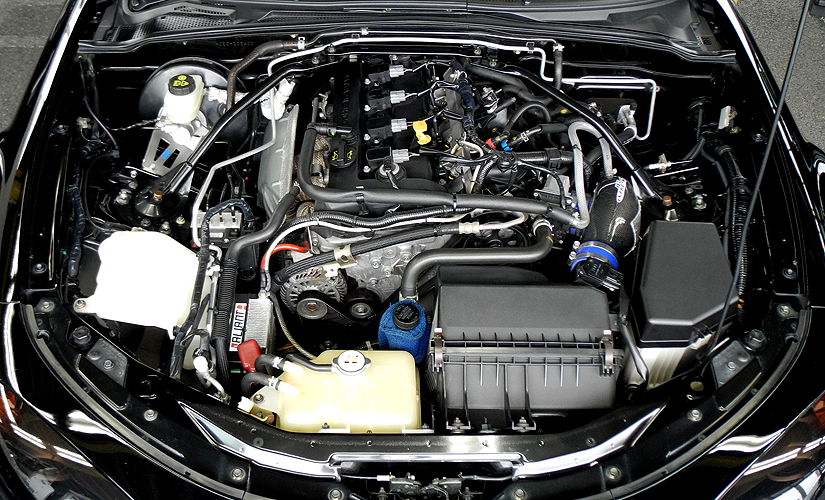 nc-eg-2015.12-01.jpg