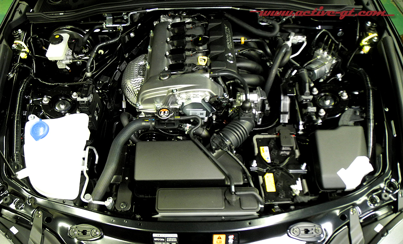 nd-hp-demo-eg-fn-01.jpg