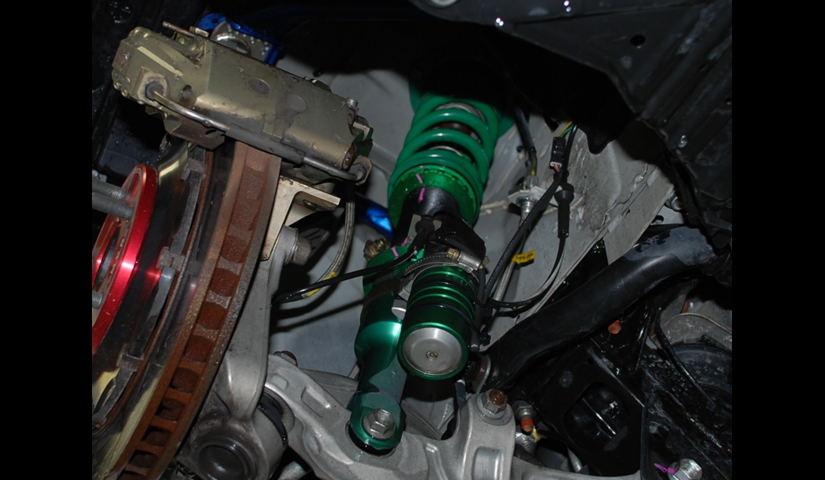19-016-tein-f.jpg
