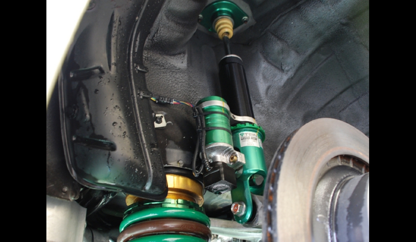 19-016-tein-r.jpg