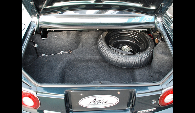 20-011-009-trunk.jpg