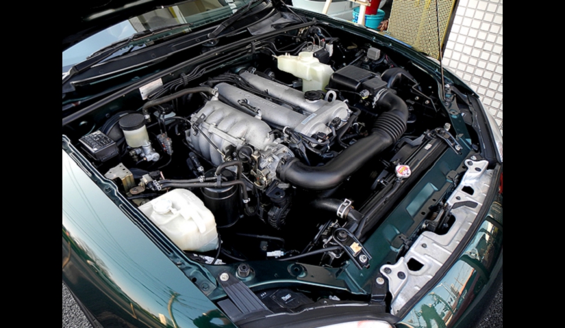 23-008-nb8vs-016.jpg